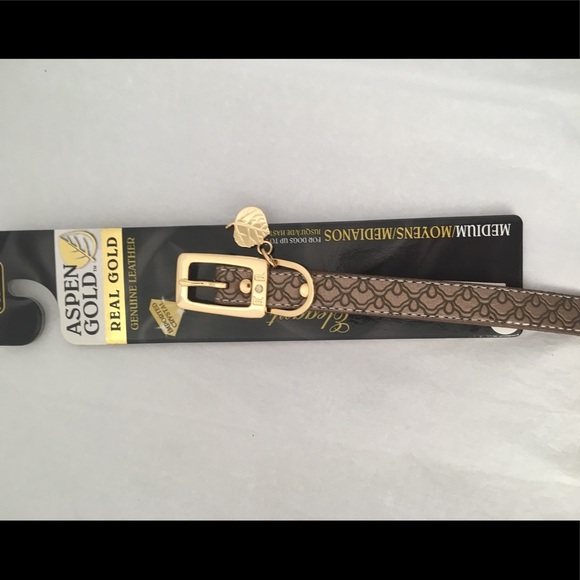 Aspen Gold Dog Collar Brown - Picture 6 of 6